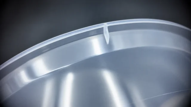 Bowl rim